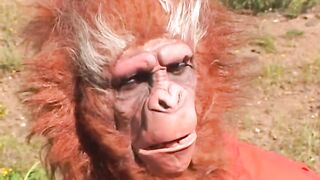 Majmok bolygója - Magyar szinkronos teljes erotikus videó