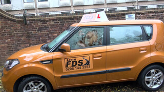 Fake Driving School latin bige szarul vezet, de szexelni azt nagyon tud